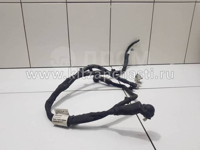 Жгут проводов заземления Chery Tiggo 7 Pro 806002864AA